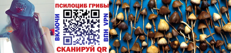 hydra зеркало  купить   Саратов  Псилоцибиновые грибы прущие грибы 